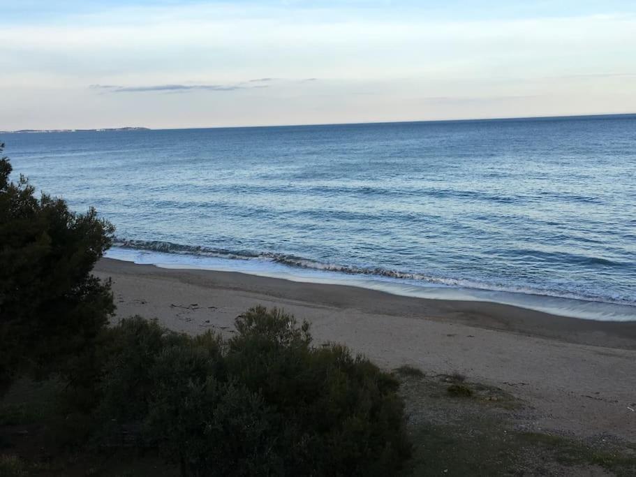 Beach-Lovers - Apartamento 1Era Linia Mar Miami Playa Εξωτερικό φωτογραφία